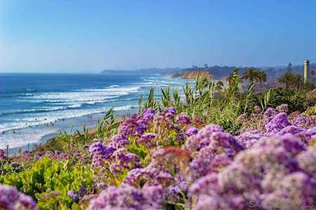 155 15Th Street #Unit 25 Del Mar, CA 92014