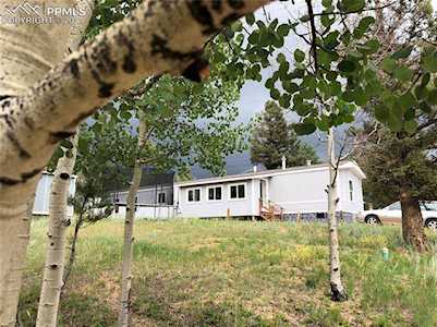 169 Daisy Street Woodland Park, CO 80863