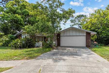 504 Bamboo Ct Tarpon Springs, FL 34689