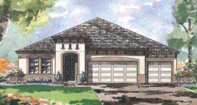 13247 Wildflower Meadow Dr Riverview, FL 33579