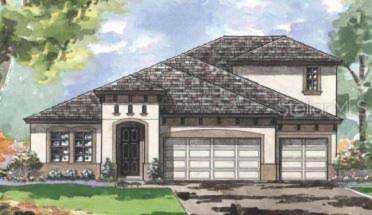 13031 Wildflower Meadow Dr Riverview, FL 33579