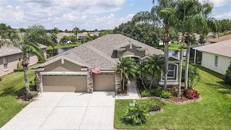 11230 Wedgemere Dr Trinity, FL 34655