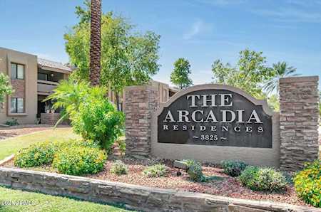 3825 E Camelback Road #211 Phoenix, AZ 85018