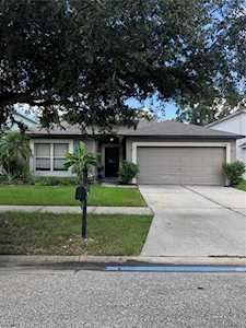 13516 Copper Head Dr Riverview, FL 33569