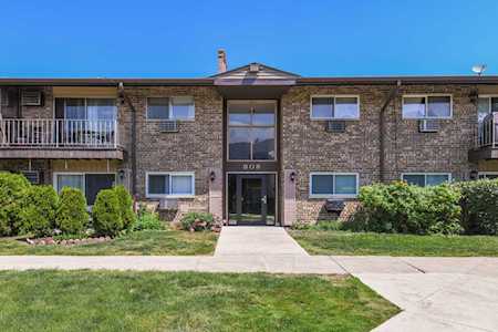 808 E Old Willow Rd #206 Prospect Heights, IL 60070