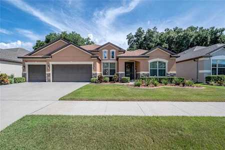 11336 American Holly Dr Riverview, FL 33578