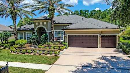 21301 Lake Vienna Dr Land O Lakes, FL 34638