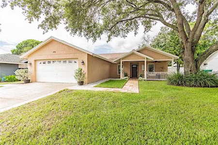 1791 Arbor Dr S Palm Harbor, FL 34683