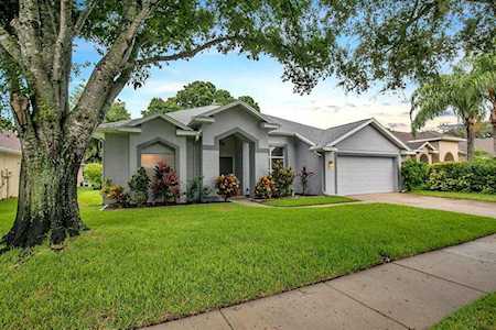 763 Salt Lake Dr Tarpon Springs, FL 34689