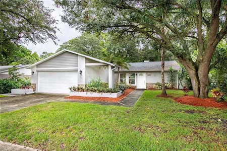 222 Lotus Dr Safety Harbor, FL 34695