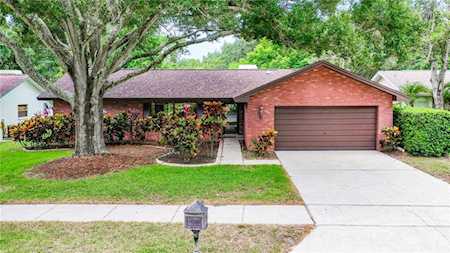 310 Woodland Ct Safety Harbor, FL 34695