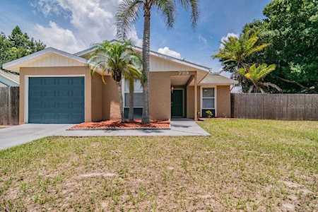 739 Merlins Ct Tarpon Springs, FL 34689