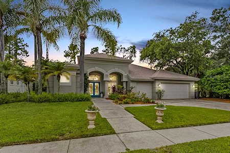 4372 Aldon Ct Palm Harbor, FL 34685