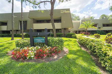 36750 Us Highway 19 N #3-209 Palm Harbor, FL 34684