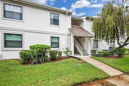106 Meadow Ln #6 Oldsmar, FL 34677