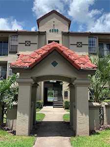 4209 Woodstorks Walk WAY #1311 Lutz, FL 33558