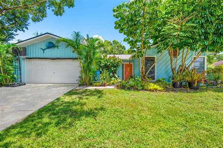 3118 Swan Ln Safety Harbor, FL 34695
