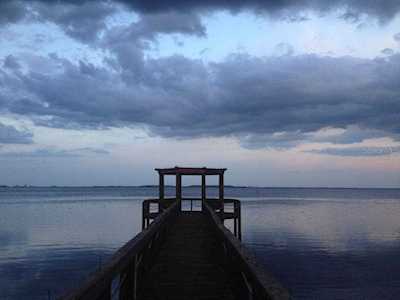 2837 Bayshore Trails Dr Tampa, FL 33611