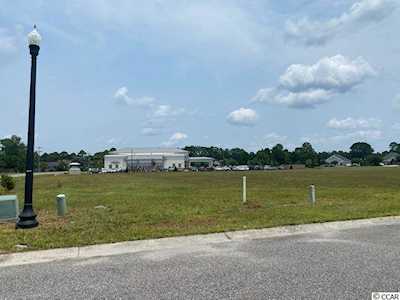 Lts 1 & 3 Singleton Ridge Rd. Conway, SC 29526