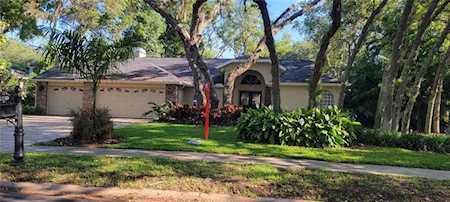8800 Crescent Forest Blvd New Port Richey, FL 34654
