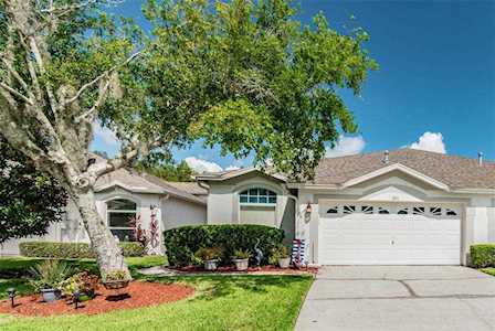 1801 Sassafras Dr Wesley Chapel, FL 33543