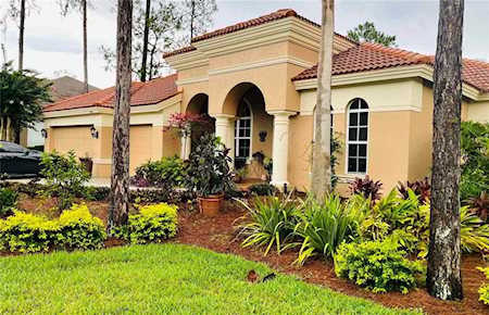 2878 Grey Oaks Blvd Tarpon Springs, FL 34688