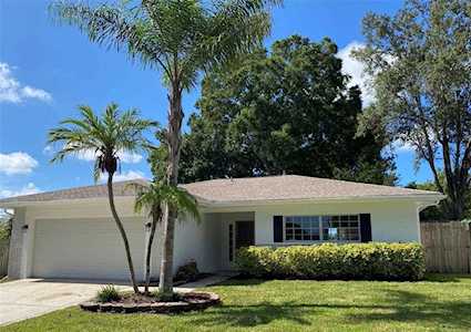 2446 Orangepointe Ave Palm Harbor, FL 34683