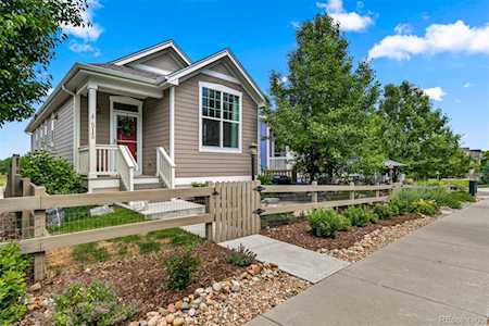 515 Straight Creek Way Lafayette, CO 80026
