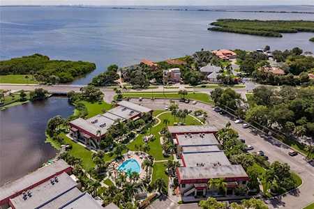 1003 S Bayshore Blvd #205 Safety Harbor, FL 34695