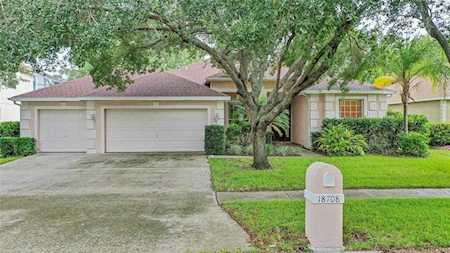 18708 Chemille Dr Lutz, FL 33558