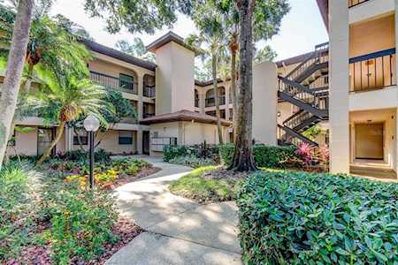 3399 Mermoor Dr #204 Palm Harbor, FL 34685