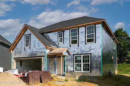 16203 Spitfire Lake Path Louisville, KY 40245