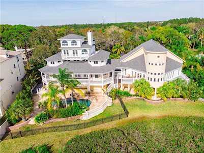 504 Hillsborough Street Palm Harbor, FL 34683