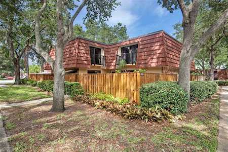 2628 13th Ct Palm Harbor, FL 34684