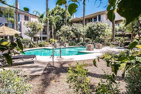 4343 N 21st Street #212 Phoenix, AZ 85016