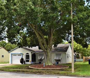 3215 Cody St New Port Richey, FL 34655