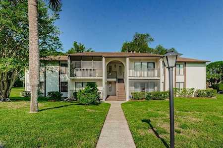 2522 Pine Ridge WAY S #D1 Palm Harbor, FL 34684