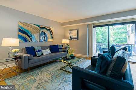 10853 Amherst Ave #102 Silver Spring, MD 20902