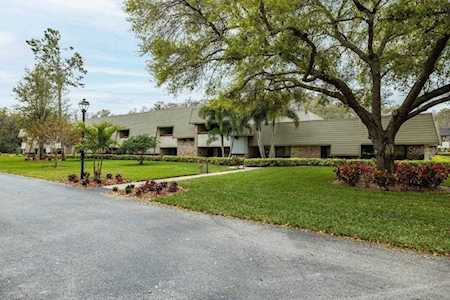 36750 Us Highway 19 N #6-207 Palm Harbor, FL 34684