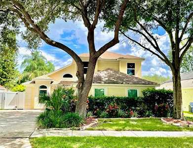 7033 Whittington Ct New Port Richey, FL 34653