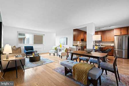 7333 New Hampshire Ave #916 Takoma Park, MD 20912