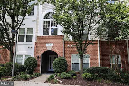 1520 North Point Dr #2 Reston, VA 20194