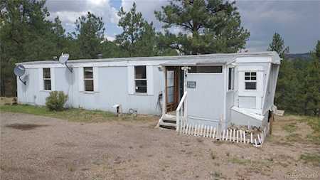 505 Forest Glen Trl Florissant, CO 80816