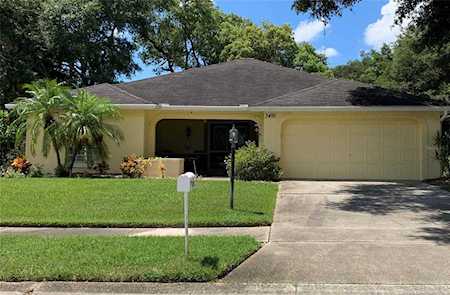 3492 Carmichael St Palm Harbor, FL 34684