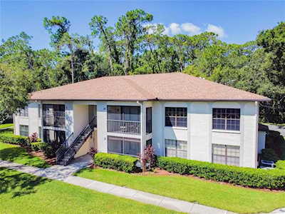 3365 Crystal Ct E #C Palm Harbor, FL 34685