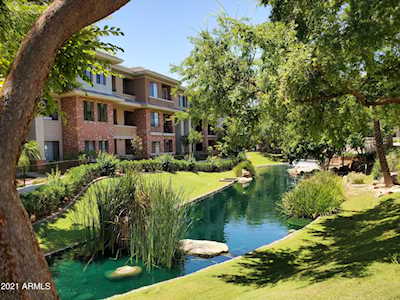2989 N 44th Street #3036 Phoenix, AZ 85018