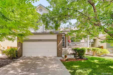 11032 Pheasant Ct Parker, CO 80134