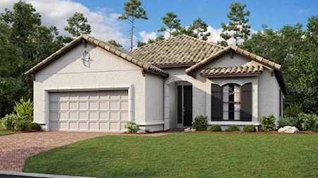 4165 San Severo Rd Wesley Chapel, FL 33543