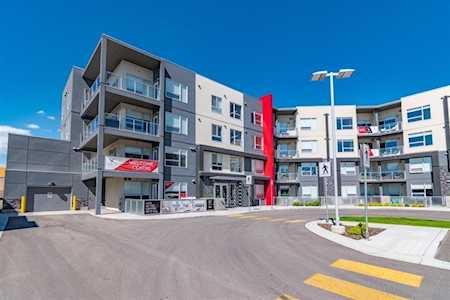 8530 8A Ave SW #305 Calgary, AB T3H 6A7