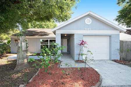 1905 Sheffield Ct Oldsmar, FL 34677
